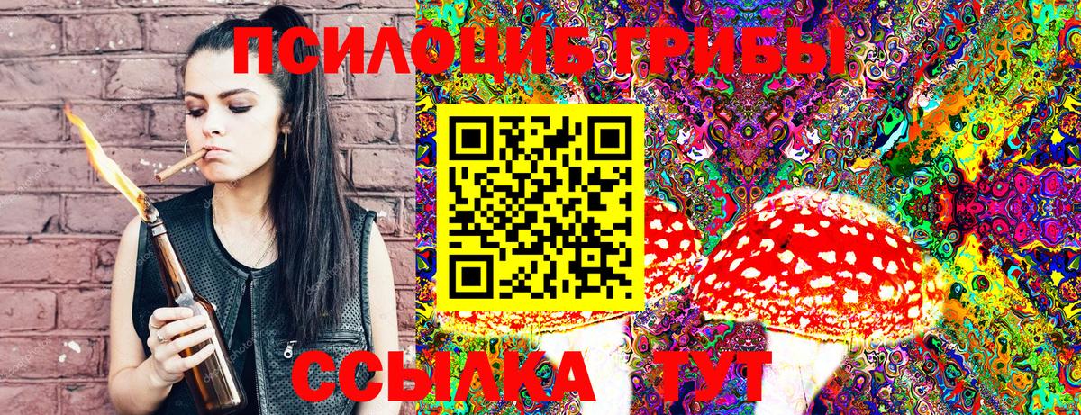 Галлюциногенные грибы Psilocybe Первоуральск
