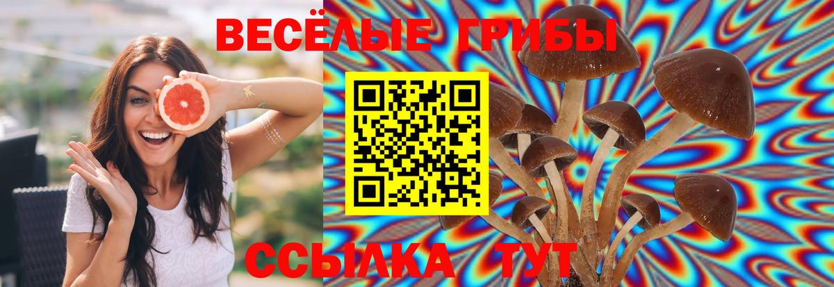 продажа наркотиков  Галлюциногенные грибы Magic Shrooms  Вход с VPN  Первоуральск 